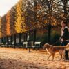 Promener le chien : un service à la personne souvent oublié