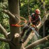 Harnais de sécurité avec pont central ou latéral (abattage d&rsquo;arbre)