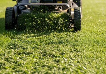 Mulching et humidité : éviter les paquets d&rsquo;herbe
