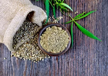 Pellets de chanvre ou de lin : les alternatives au bois arrivent