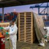 Traitement NIMP15 : pourquoi votre palette bois doit être fumigée pour l’export ?