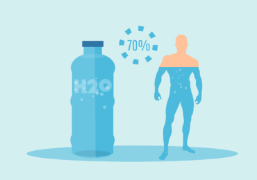 Soin d&rsquo;hydratation corporelle : actifs clés et ordre d&rsquo;application