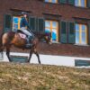 Cours d’équitation : apprendre à monter avec confiance
