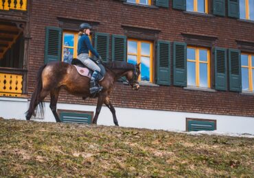 Cours d’équitation : apprendre à monter avec confiance