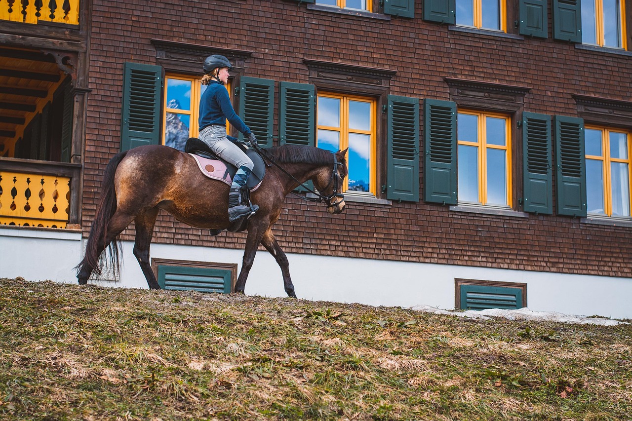 découvrez les joies de l'équitation, une activité passionnante pour tous les âges qui permet de se connecter avec les chevaux et la nature.