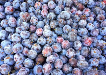 Recevoir chaque semaine des fruits et légumes frais avec un panier bio