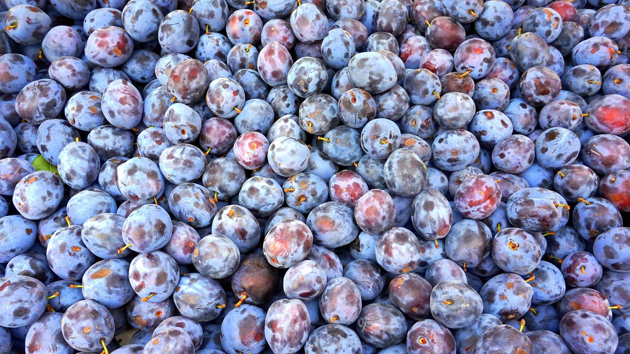 abonnez-vous à notre service de livraison de produits biologiques frais, directement de la ferme à votre porte, pour une alimentation saine et naturelle au quotidien.