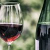 Visiter un producteur de vin : ce que les guides touristiques ne disent pas