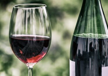 Visiter un producteur de vin : ce que les guides touristiques ne disent pas