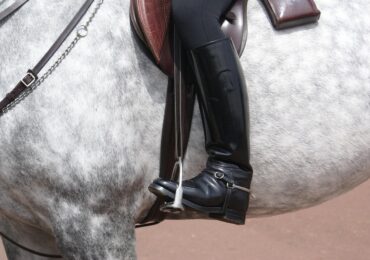 Équipement du cavalier : l&rsquo;essentiel pour pratiquer en toute sécurité