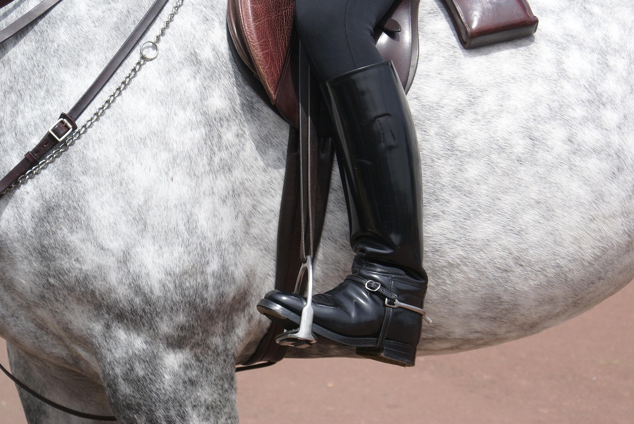 découvrez notre équipement complet pour riders : casques, protections, vêtements et accessoires pour une pratique sûre et stylée.
