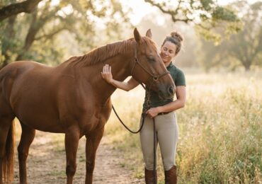 Le lien unique entre le cavalier et le cheval en équitation