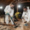 Extermination de rats : l&rsquo;importance du nettoyage après passage