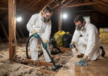 Extermination de rats : l&rsquo;importance du nettoyage après passage